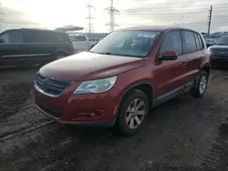 Salvage cars for sale at Elgin, IL auction: 2009 Volkswagen Tiguan S