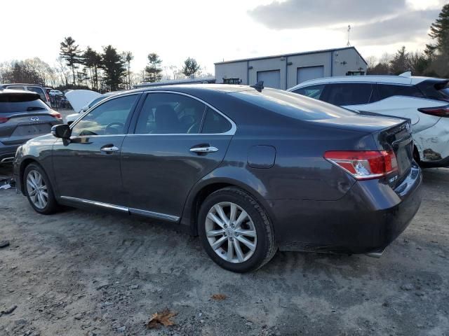 2010 Lexus ES 350