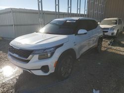 Salvage cars for sale at Kansas City, KS auction: 2023 KIA Seltos LX