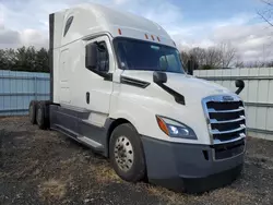 Freightliner Cascadia 126 salvage cars for sale: 2019 Freightliner Cascadia 126