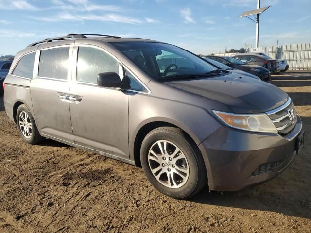 2011 Honda Odyssey EXL