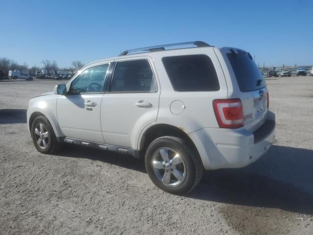 2011 Ford Escape Limited