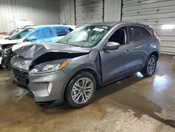 Ford Escape salvage cars for sale: 2022 Ford Escape SEL