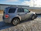 2008 Ford Escape XLT