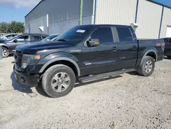 Salvage SUVs for sale at auction: 2013 Ford F150 Supercrew