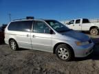 2004 Honda Odyssey EXL