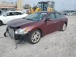 Salvage cars for sale from Copart New Orleans, LA: 2012 Nissan Maxima S