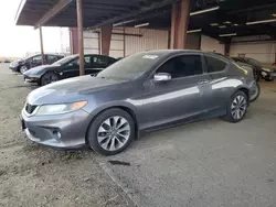 Honda Accord exl salvage cars for sale: 2013 Honda Accord EXL