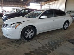 Salvage cars for sale at American Canyon, CA auction: 2012 Nissan Altima Base