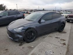 Tesla salvage cars for sale: 2021 Tesla Model Y