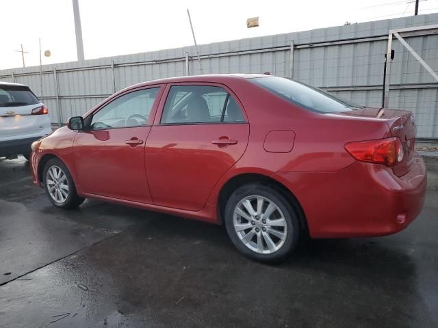 2010 Toyota Corolla Base