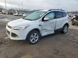 Salvage SUVs for sale at auction: 2016 Ford Escape SE