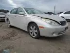 2005 Lexus ES 330