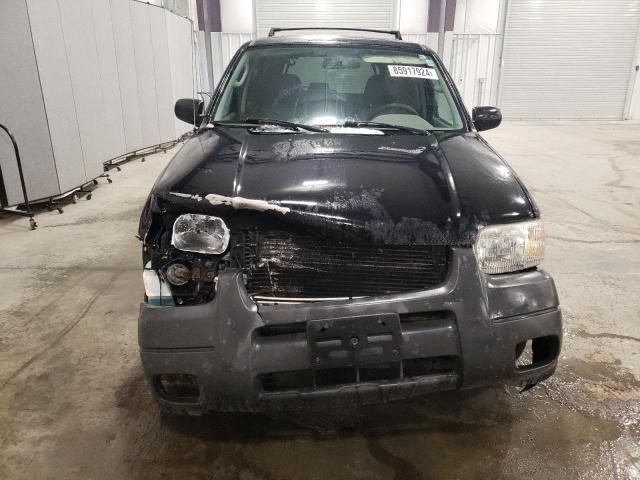 2004 Ford Escape XLT