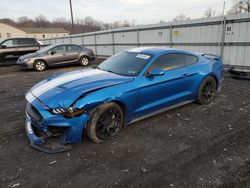 Salvage cars for sale at York Haven, PA auction: 2019 Ford Mustang