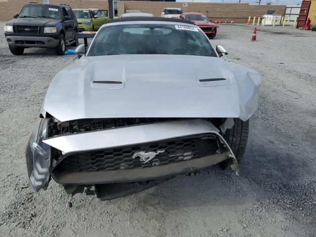 2019 Ford Mustang