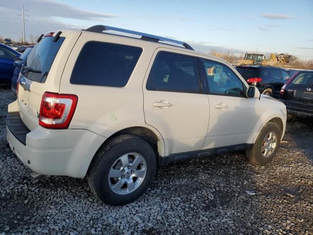 2011 Ford Escape Limited