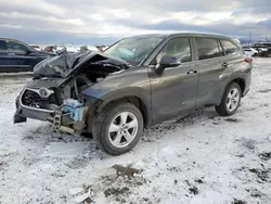 Salvage cars for sale at Helena, MT auction: 2023 Toyota Highlander L