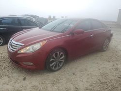 Salvage cars for sale at Taylor, TX auction: 2013 Hyundai Sonata SE