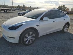 Salvage cars for sale at Mentone, CA auction: 2023 Tesla Model Y