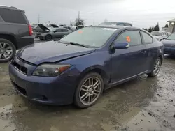 Salvage cars for sale at Eugene, OR auction: 2006 Scion TC