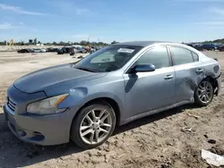 Nissan salvage cars for sale: 2012 Nissan Maxima S