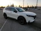 2024 Honda CR-V SPORT-L