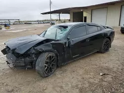 Salvage cars for sale from Copart Temple, TX: 2013 Dodge Charger SE