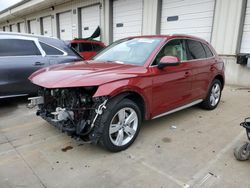 Salvage cars for sale at Louisville, KY auction: 2019 Audi Q5 Premium Plus