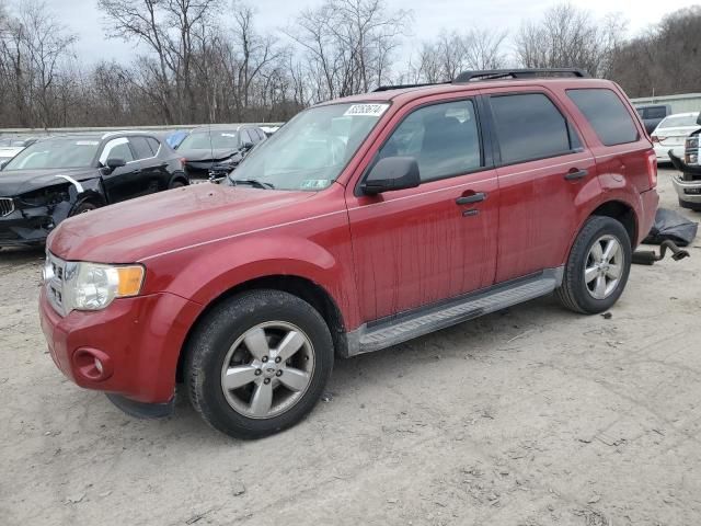 2011 Ford Escape XLT