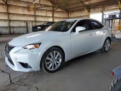 Salvage cars for sale at Phoenix, AZ auction: 2014 Lexus IS 250