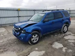 Salvage cars for sale at Walton, KY auction: 2012 Ford Escape XLT