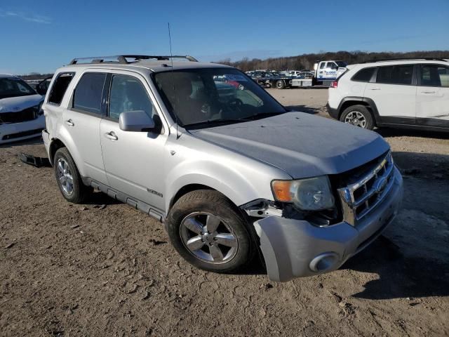 2008 Ford Escape Limited