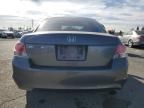 2009 Honda Accord LXP