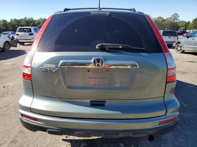 2010 Honda CR-V EXL