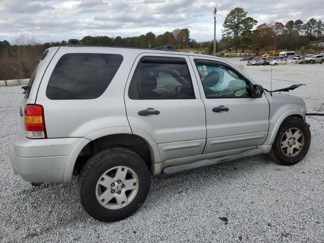 2007 Ford Escape XLT