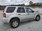 2007 Ford Escape XLT