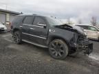 2008 Cadillac Escalade Luxury