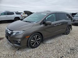 Salvage cars for sale at Temple, TX auction: 2019 Honda Odyssey EXL