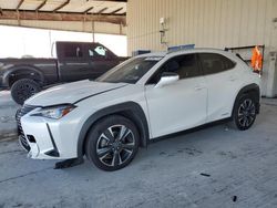 Salvage cars for sale at Homestead, FL auction: 2021 Lexus UX 250H