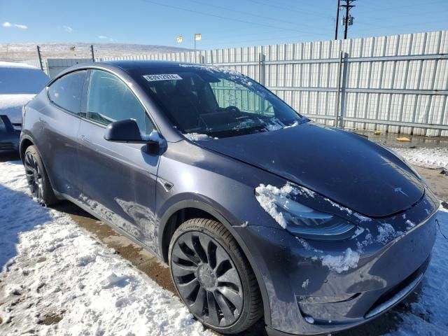 2022 Tesla Model Y