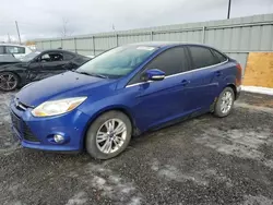 2012 Ford Focus SEL en venta en Ottawa, ON