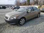 2009 Honda Accord EXL