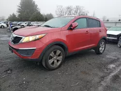 Salvage cars for sale at Finksburg, MD auction: 2011 KIA Sportage LX