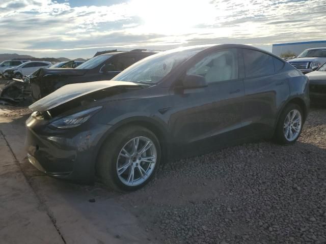 2020 Tesla Model Y