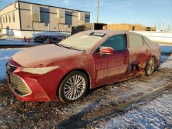 Salvage cars for sale at Bismarck, ND auction: 2019 Toyota Avalon XLE