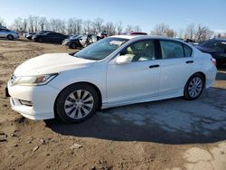 Salvage cars for sale at Baltimore, MD auction: 2013 Honda Accord EXL