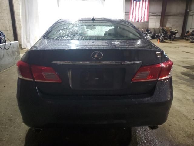 2010 Lexus ES 350