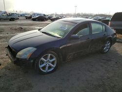 Nissan salvage cars for sale: 2006 Nissan Maxima SE