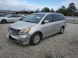 Salvage cars for sale at Memphis, TN auction: 2009 Honda Odyssey EXL